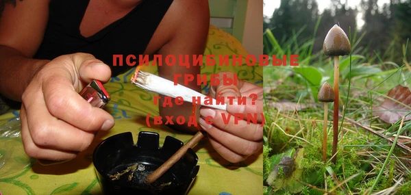 дмт Тавда